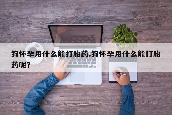 打胎药使用狗怀孕用什么能打胎药.狗怀孕用什么能打胎药呢？