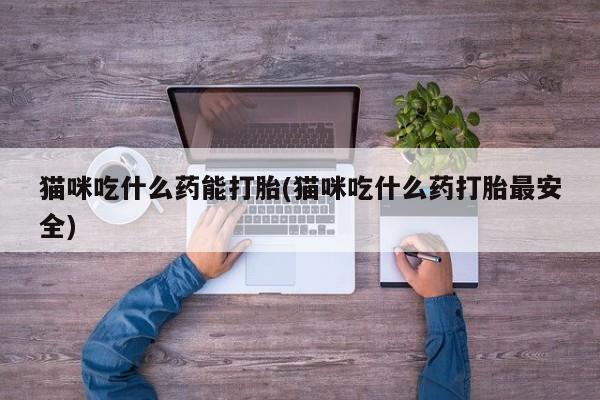 打胎药使用猫咪吃什么药能打胎(猫咪吃什么药打胎最安全)