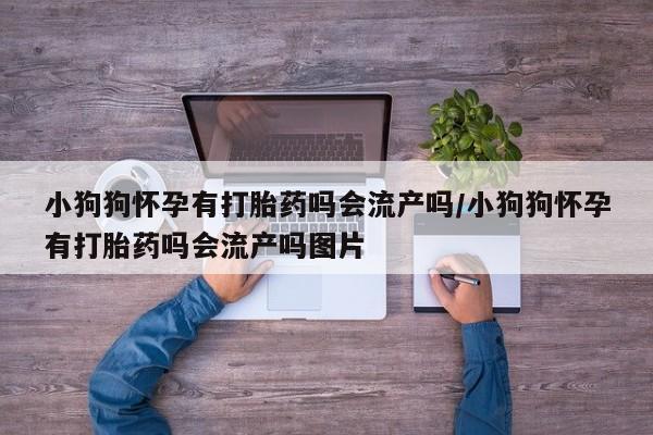 打胎药使用小狗狗怀孕有打胎药吗会流产吗/小狗狗怀孕有打胎药吗会流产吗图片