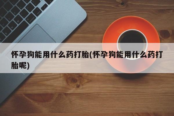 打胎药使用怀孕狗能用什么药打胎(怀孕狗能用什么药打胎呢)