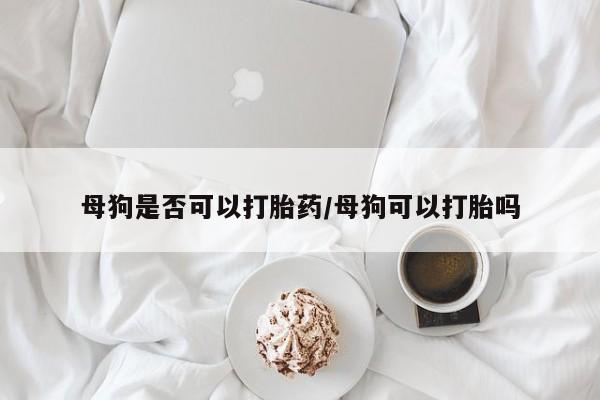 打胎药使用母狗是否可以打胎药/母狗可以打胎吗